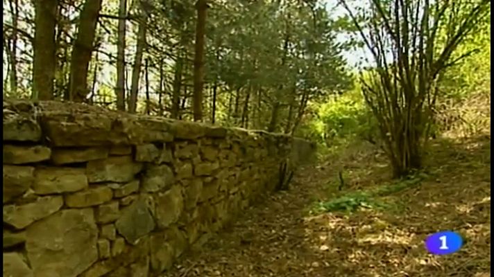 Telenavarra - Dignificación del "Cementerio de las Botellas" (Barrioplano, Navarra)