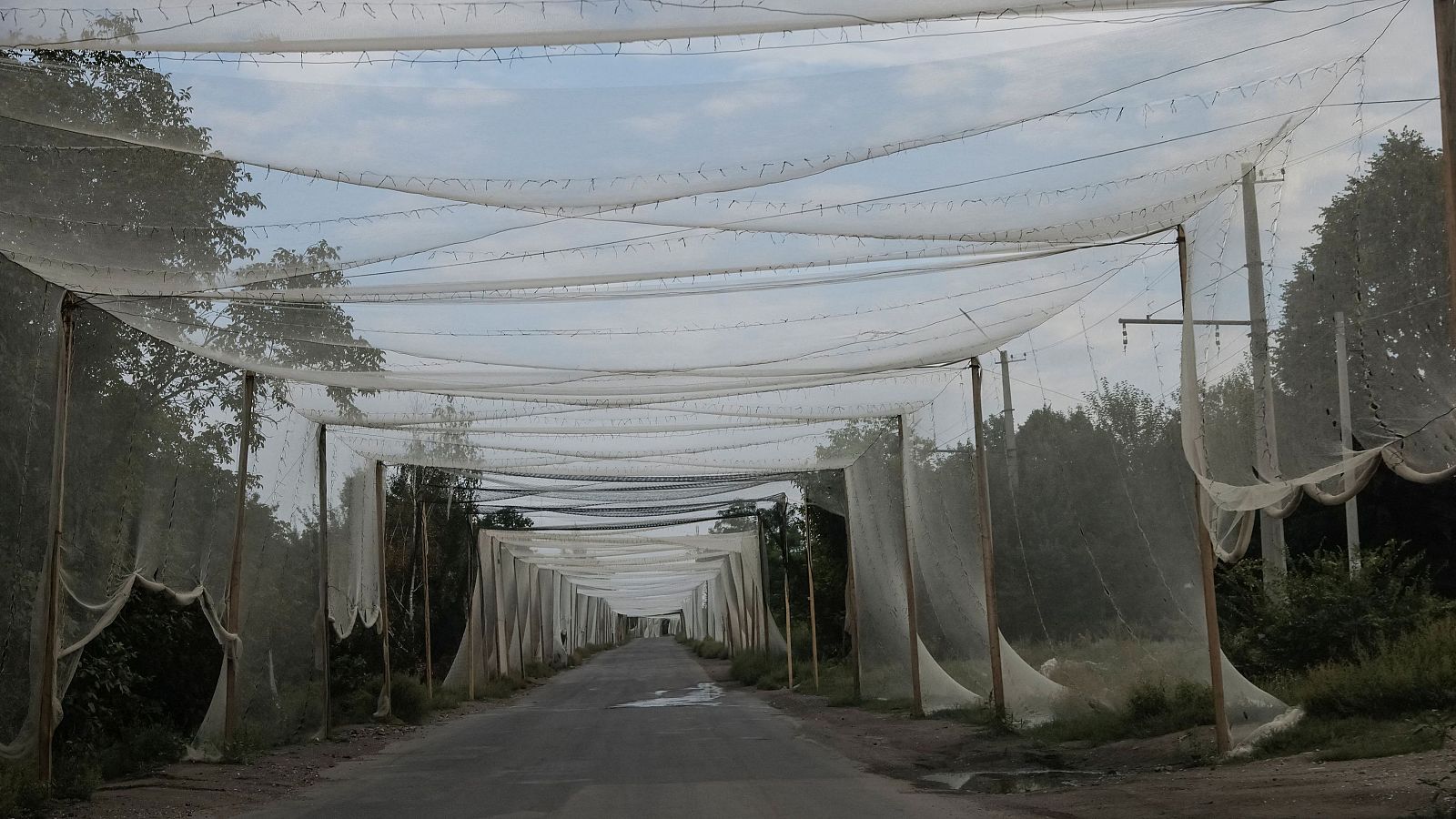 Rusia avanza a las puertas del fin de su ofensiva de verano | Ver
