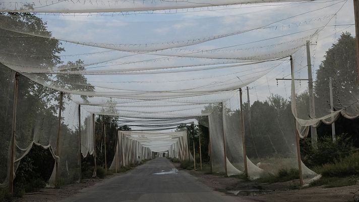 Telediario 1 - Rusia avanza hacia Konstantinovka, en Dónetsk, a las puertas del fin de su ofensiva de verano