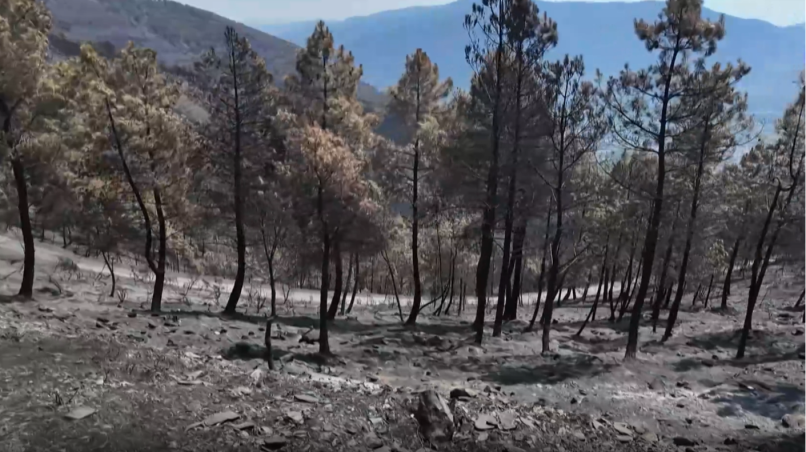 Preocupación por la intensidad de las lluvias tras incendios | Ver