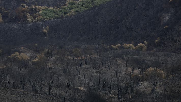 Realojados los cinco pueblos evacuados en Zamora por el incendio de Porto - Telediario 1 | Ver