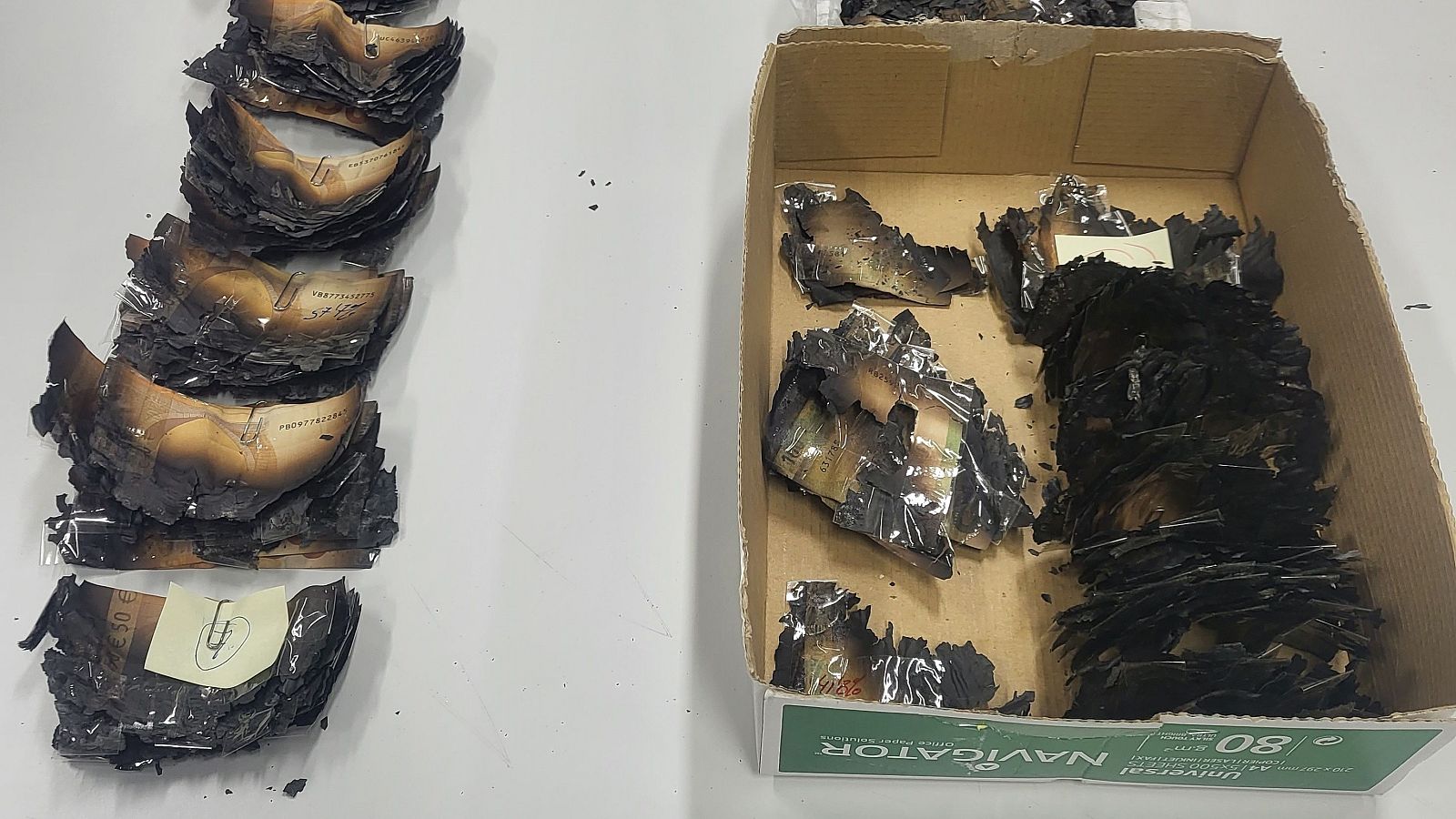 Los billetes calcinados en los incendios se pueden recuperar - Telediario 1 | Ver