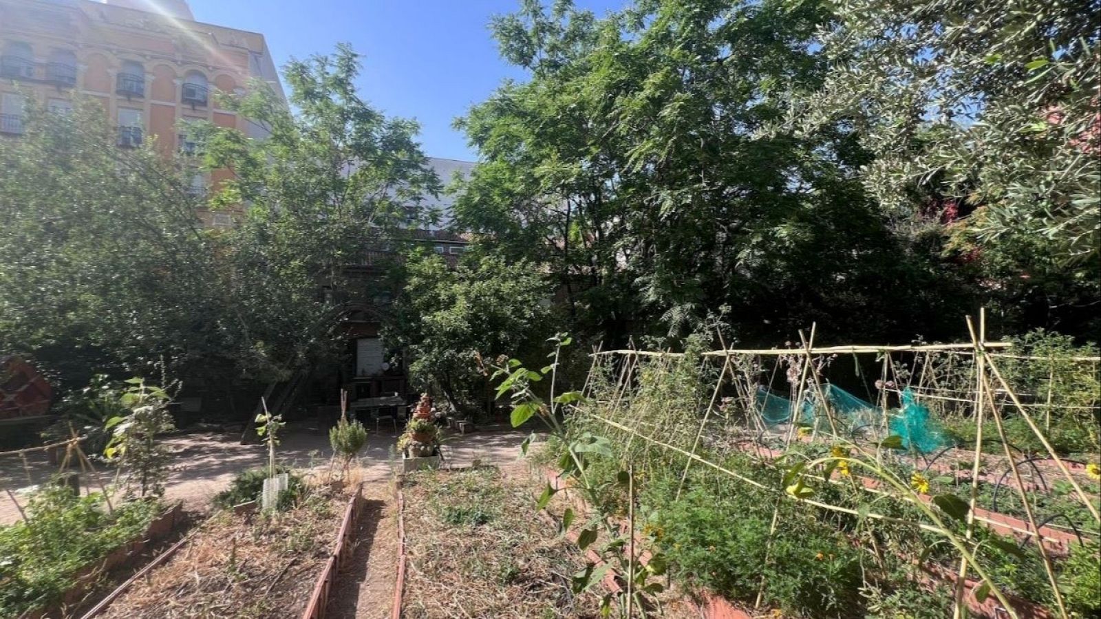 Aquí la Tierra-Cultivando algo más que verduras: una comunidad - Aquí la Tierra | Ver