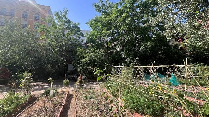 Aquí la Tierra - Cultivando algo más que verduras: una comunidad