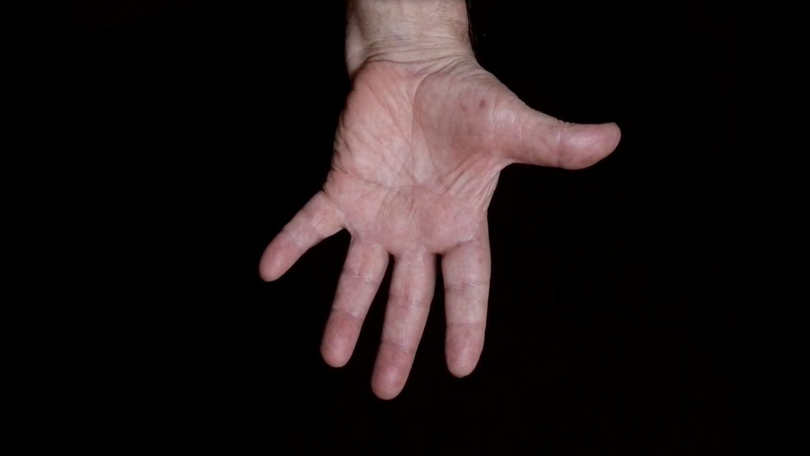 Zona Extra - Electro On Fire: “La pasión”, de J.A. Gutiérrez - 29/08/25 - Zona Extra | Ver