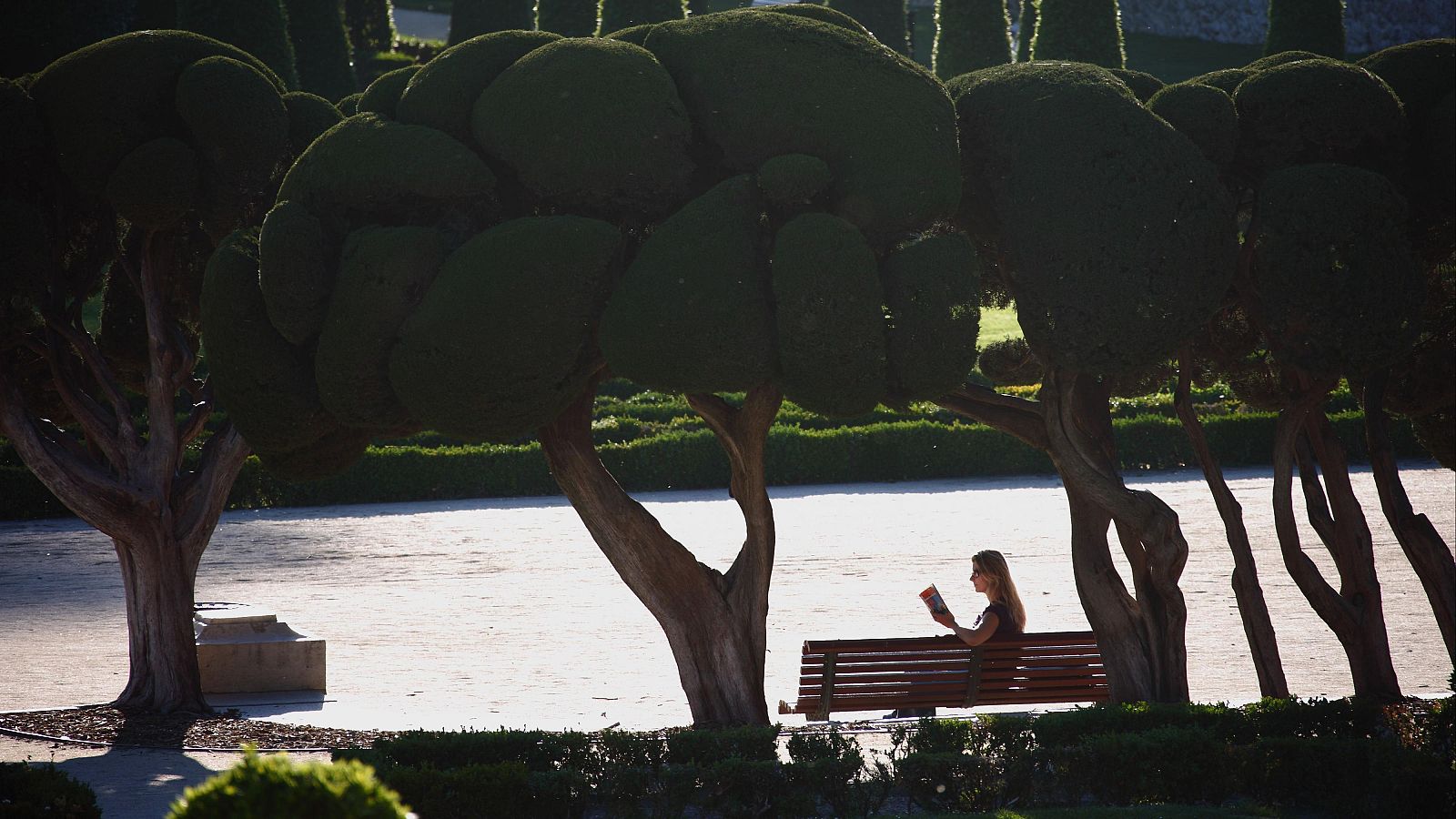 Ascenso de temperatura generalizado y lluvias en el norte - El tiempo | Ver