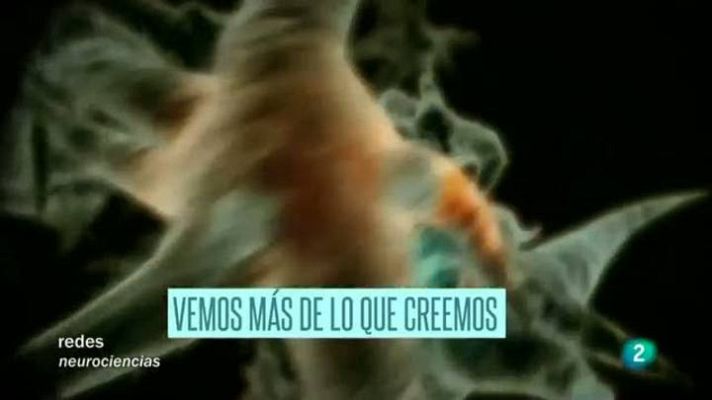 Redes - Sacar provecho de nuestra intuición