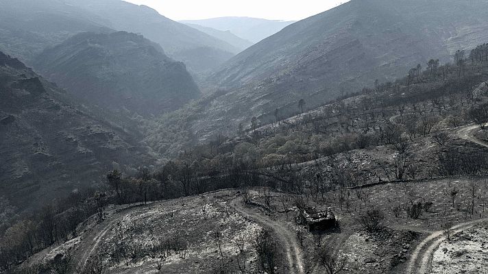 Informe semanal - Tierra quemada | Ver