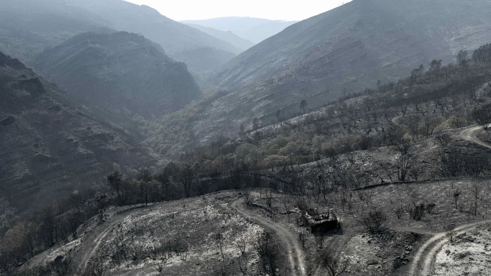 Informe semanal - Tierra quemada | Ver