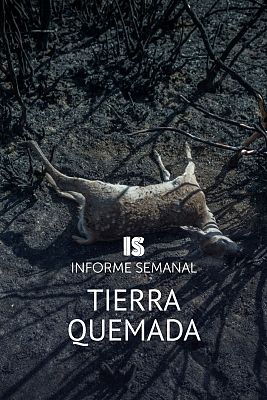 Informe Semanal - Tierra quemada