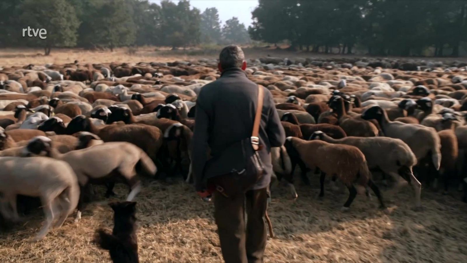 Informe semanal - 30/08/25 - Lengua de signos - Informe Semanal en lengua de signos | Ver