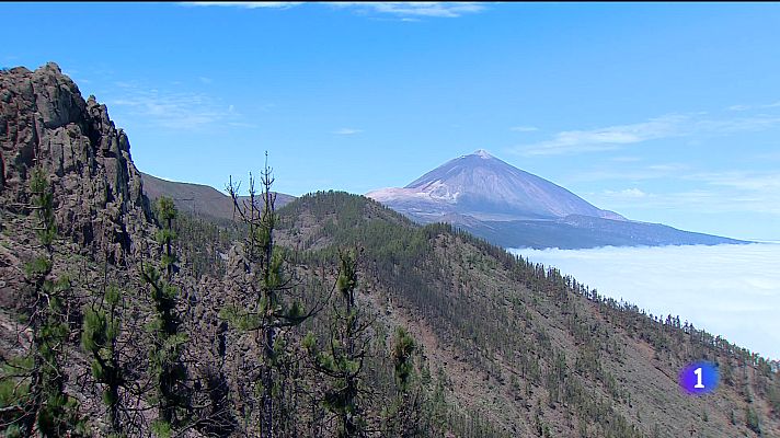 Telecanarias - Canarias en 2' - 01/09/2025