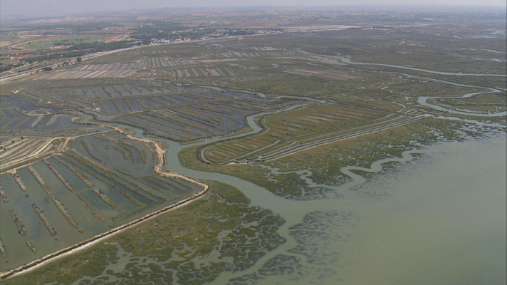 Noticias Andalucía - PARQUE NATURAL BAHÍA DE CÁDIZ