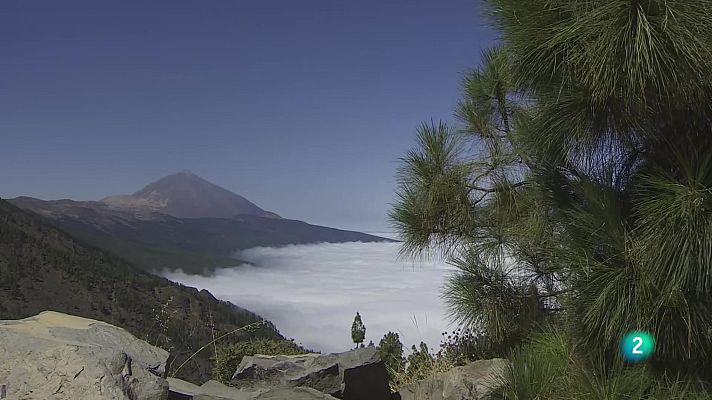 Telecanarias - Telecanarias Tarde - 01/09/2025