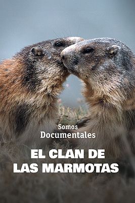 Somos Documentales - El clan de las marmotas