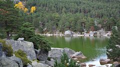 País Vasco, Burgos o Soria: el ejemplo de cómo una buena gestión forestal disminuye el riesgo de incendios