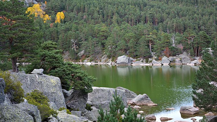 Telediario 1 - País Vasco, Burgos o Soria: el ejemplo de cómo una buena gestión forestal disminuye el riesgo de incendios