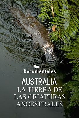 Somos Documentales - Australia: La tierra de las criaturas ancestrales