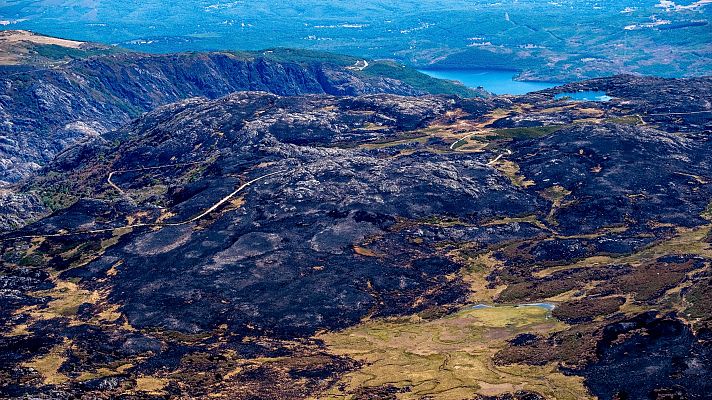 Telediario 2 - Después del fuego: ¿cómo mejorar la gestión de los incendios forestales en España?