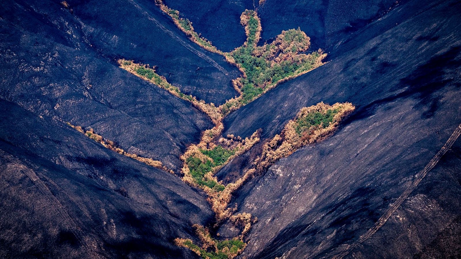 "Ya no se puede limpiar el monte" y otros bulos sobre los incendios - Telediario 2 | Ver