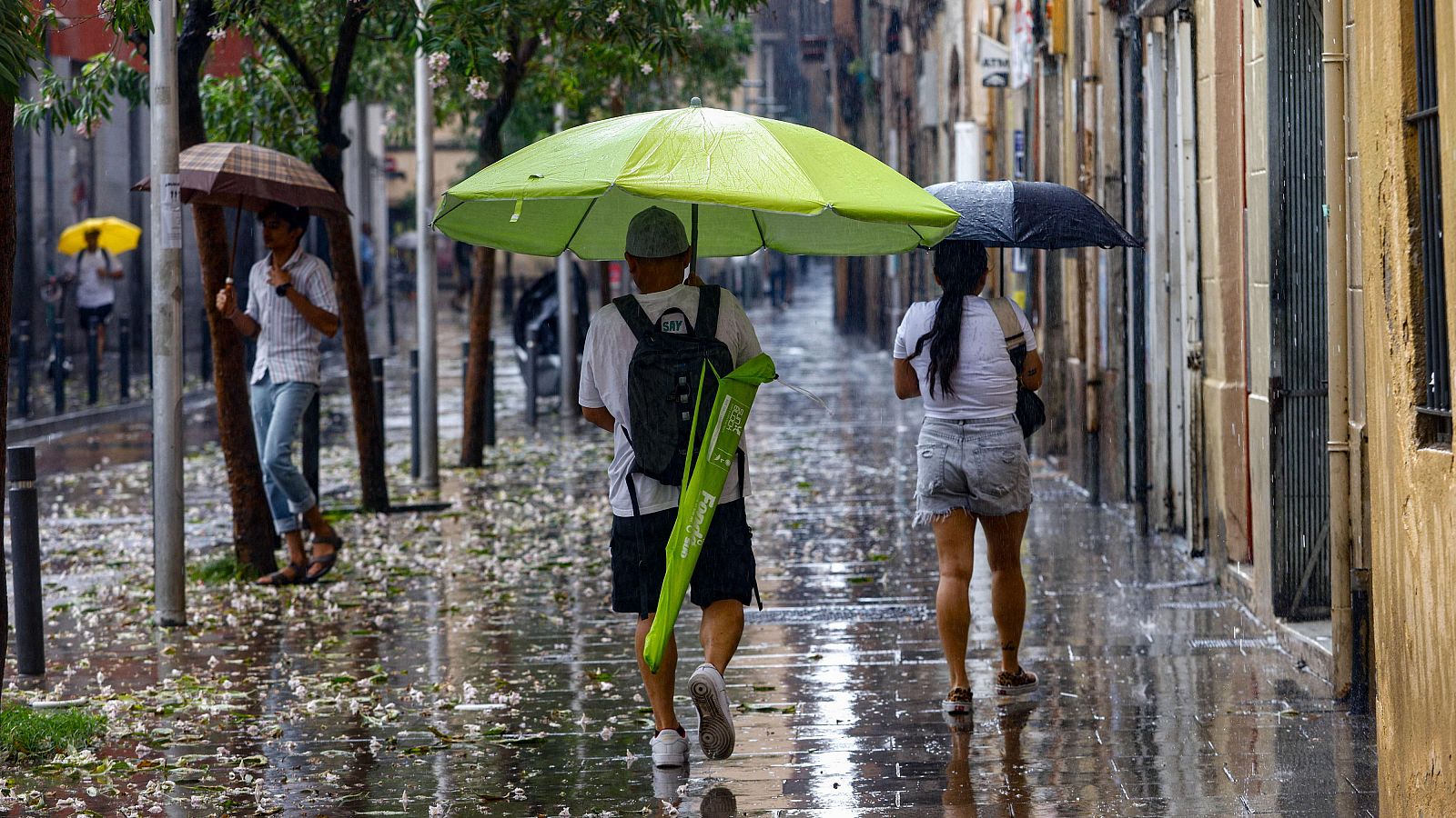 El tiempo matinal - 04/09/2025 - El tiempo | Ver