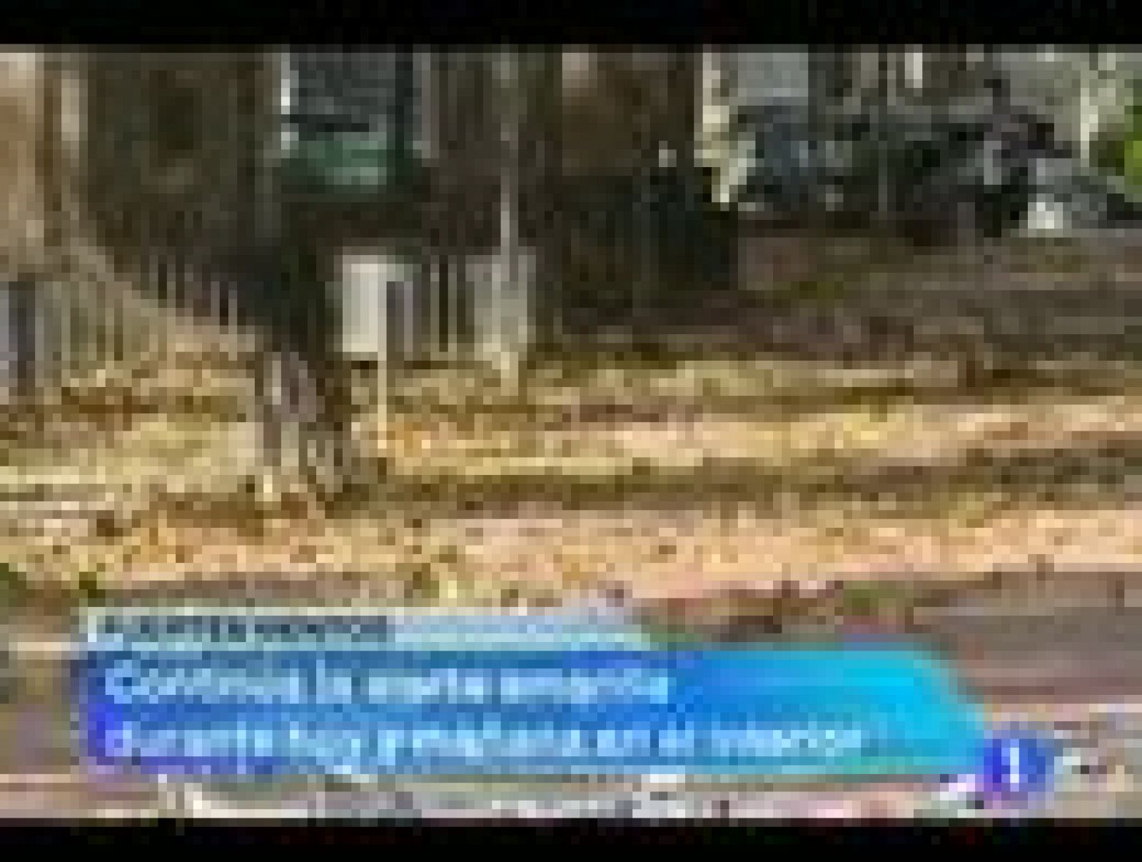 Noticias Murcia: Noticias Murcia.(21/01/2013). | RTVE Play