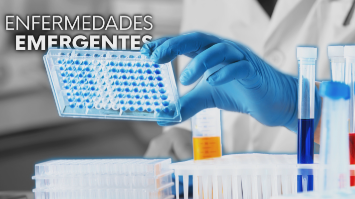 Noticias Andalucía - Enfermedades emergentes