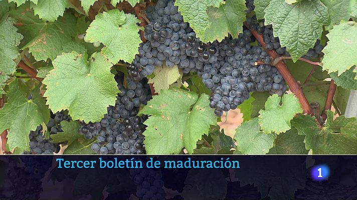 Informativo Telerioja - Informativo Telerioja 2 - 04-09-2025