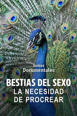 Somos Documentales - Bestias del sexo: la necesidad de procrear