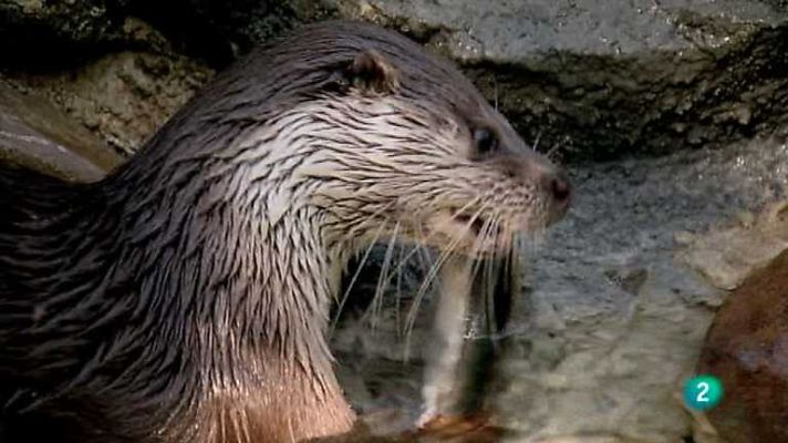 Biodiario - Biodiario - 21/01/13