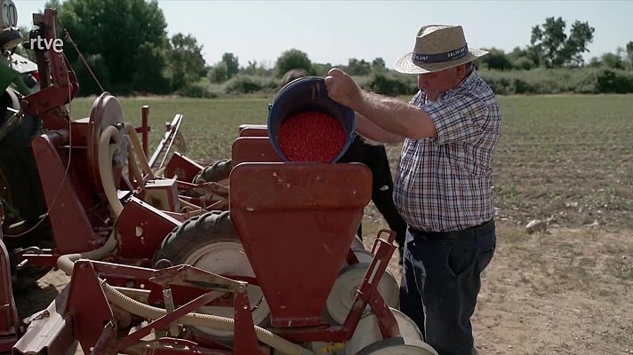 Informe semanal - Colonos, entre el mito y el olvido | Ver