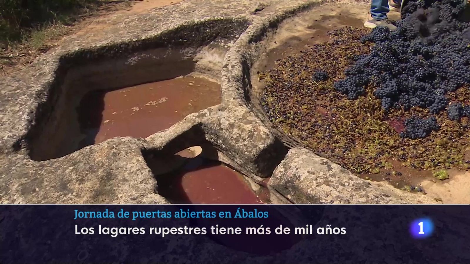 Telerioja en 2 - 08-09-2025 - Ver ahora | Ver