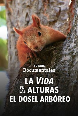 Somos Documentales - La vida en las alturas. El dosel arbóreo