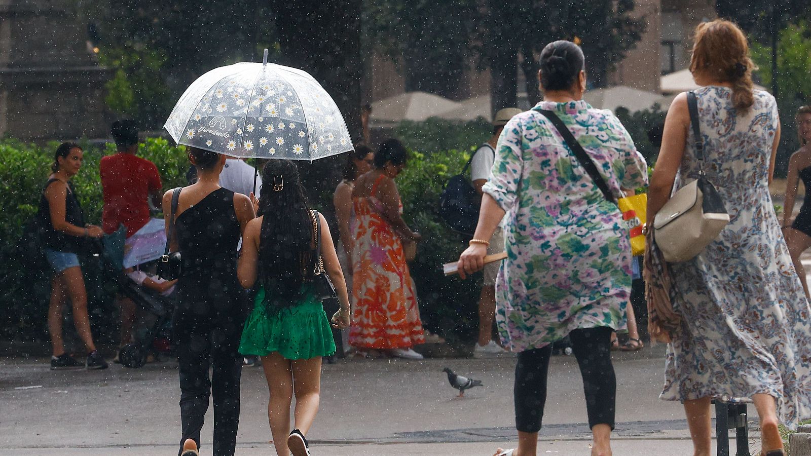 Tarragona, en aviso rojo por lluvias - La tarde en 24h | Ver