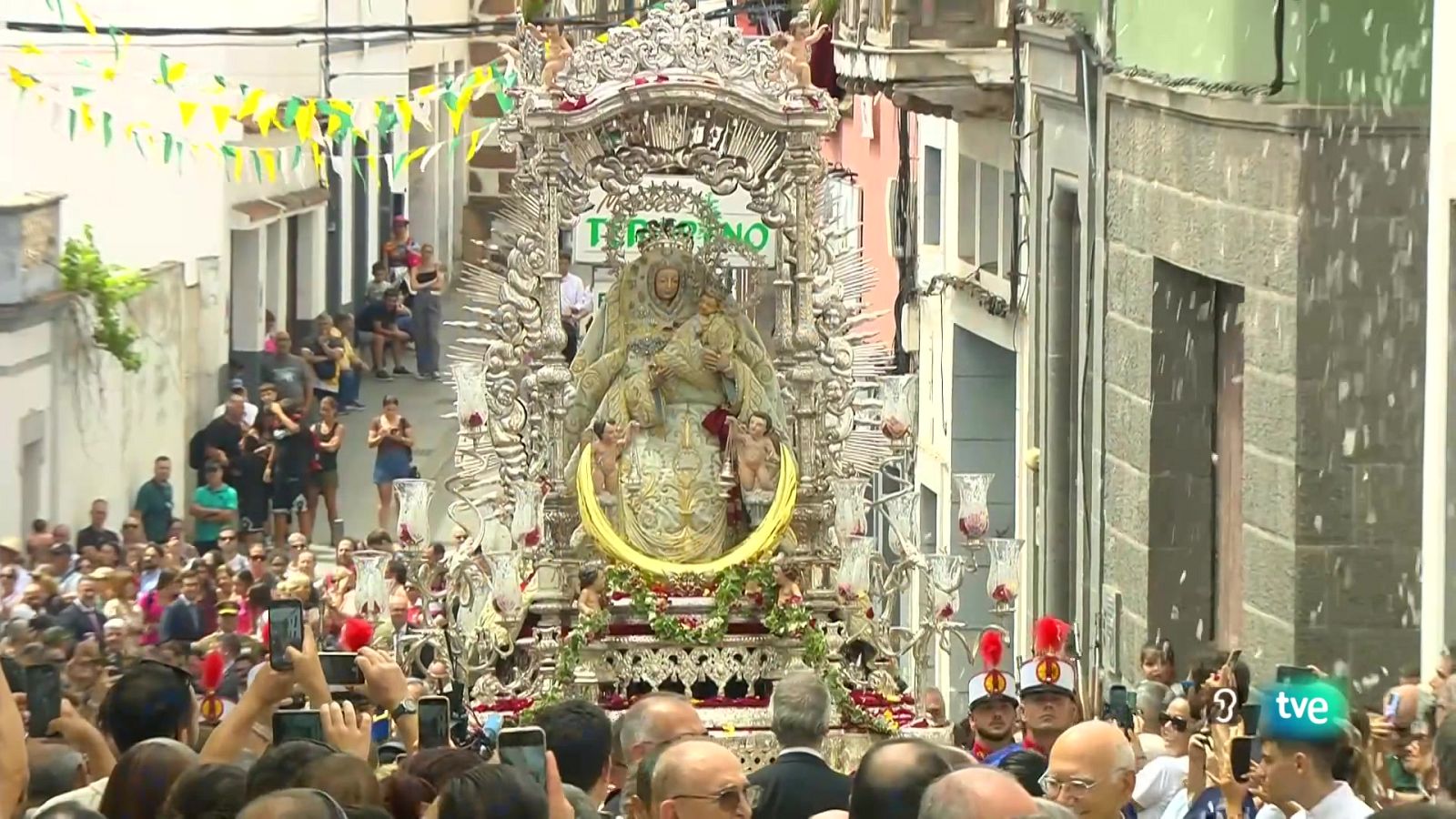 Telecanarias Tarde - 08/09/2025 | Ver