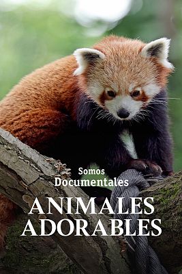 Somos Documentales - Animales adorables