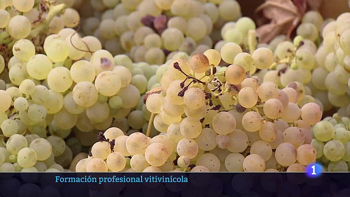 Informativo Telerioja - Informativo Telerioja 10-09-2025 Ver ahora