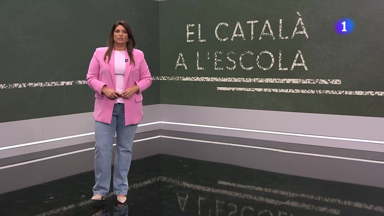 El TSJC anul·la part del decret que blinda el català com a llengua vehicular a l’escola