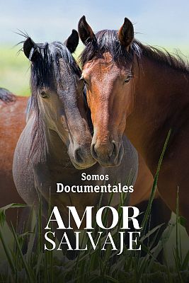 Somos Documentales - Amor salvaje