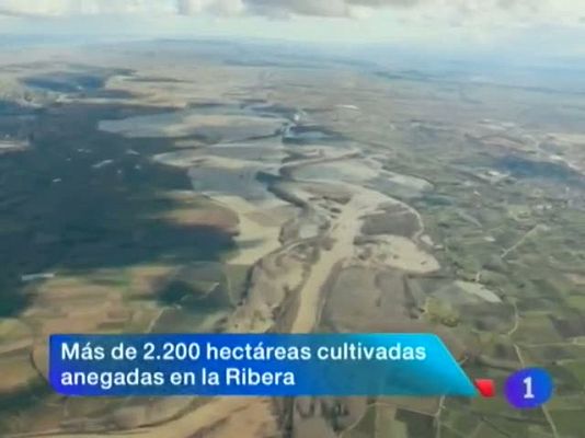 Telenavarra - Telenavarra en 2' - 22/01/13