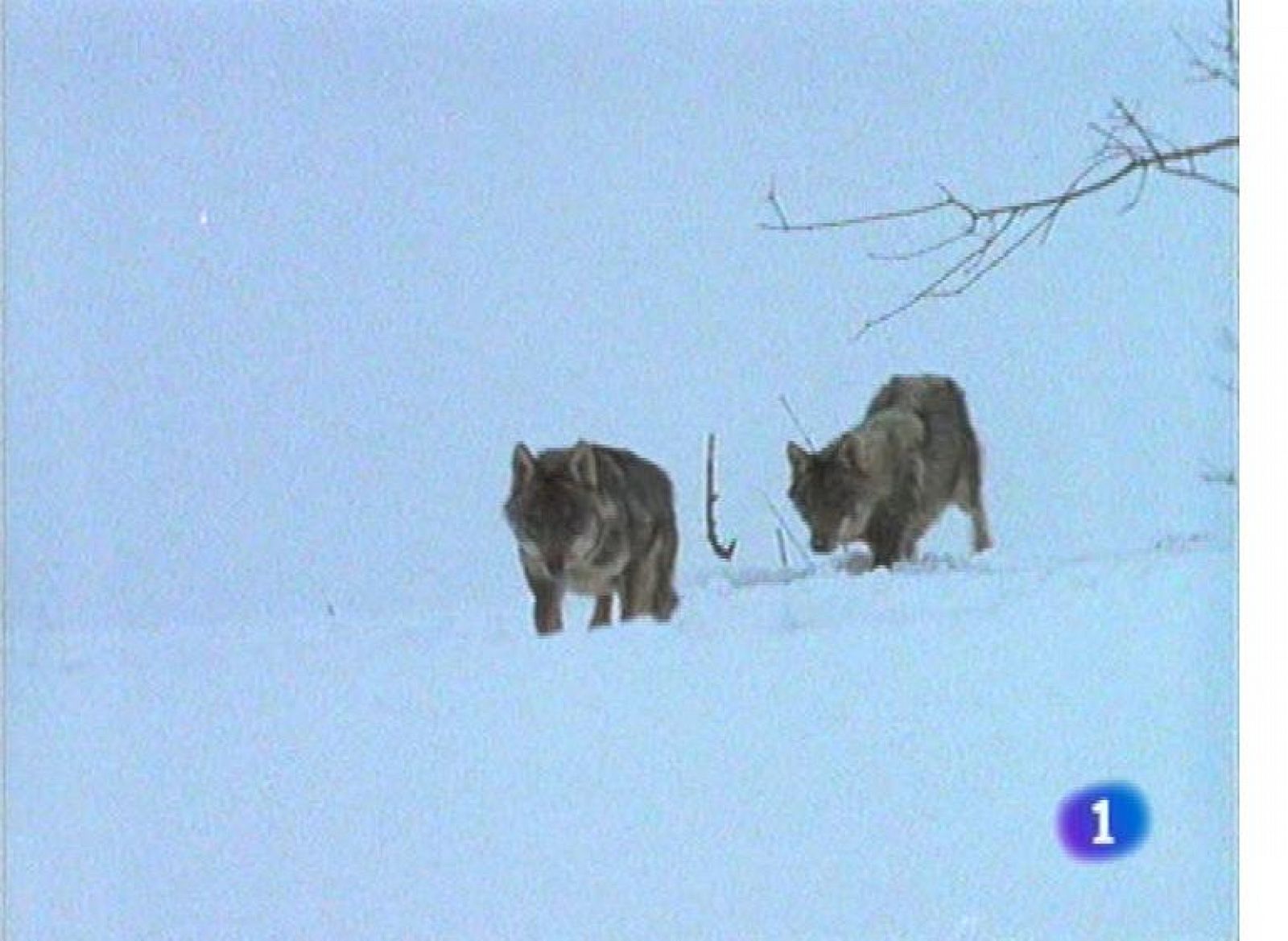 Panorama Regional 2 - 22/01/13 | Ver