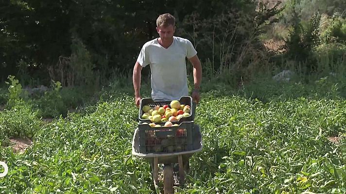 Agrosfera - Agrosfera - 13/09/25