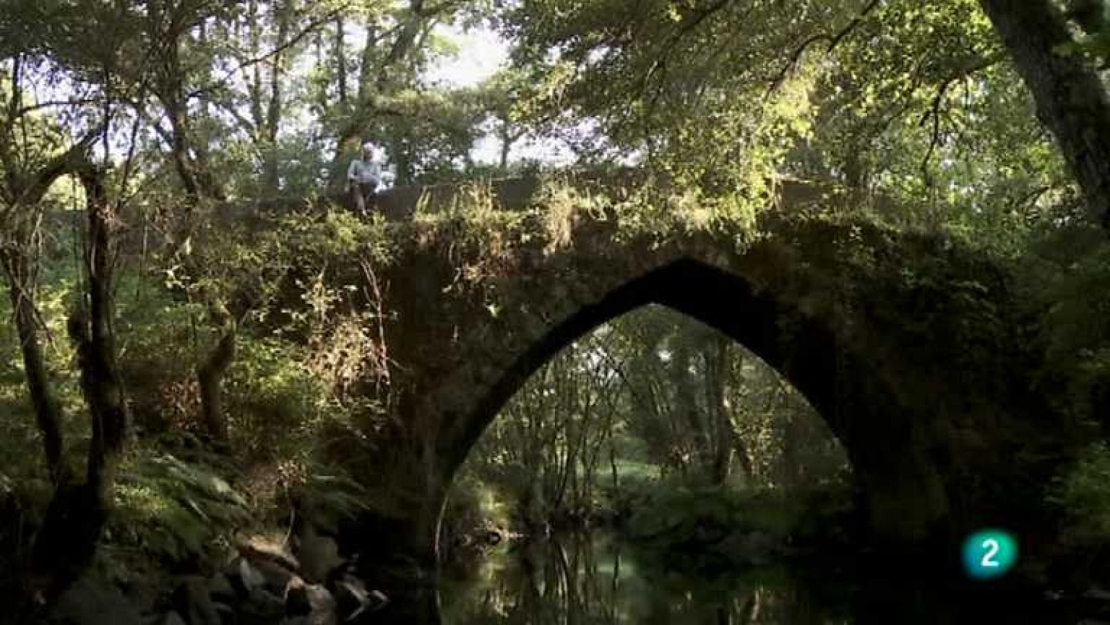 Biodiario - 22/01/13 - Ver ahora