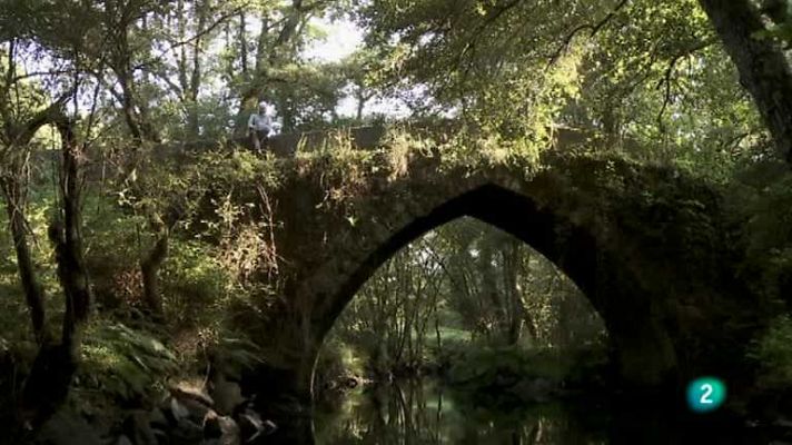 Biodiario - Biodiario - 22/01/13