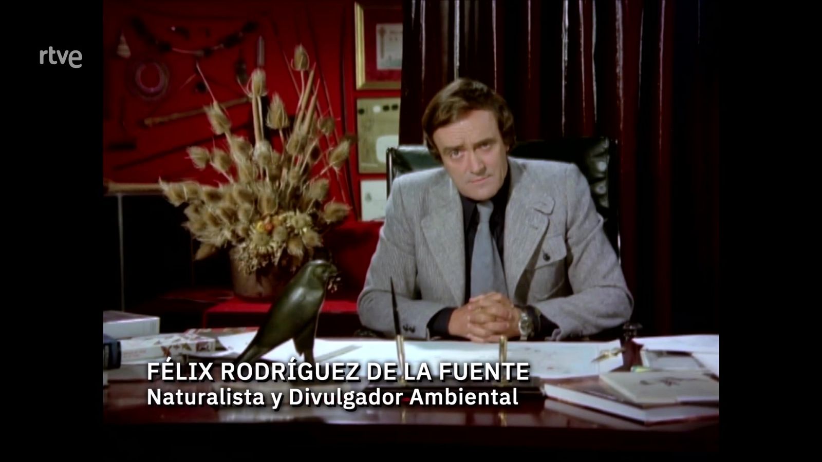 Félix, cien años después | Ver