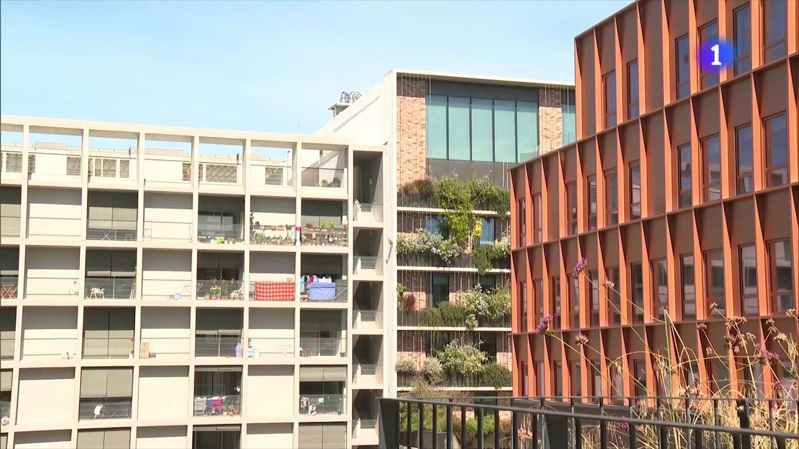 Els elevats preus de les residències universitàries, inassumibles pels estudiants nacionals - L'Informatiu | Veure