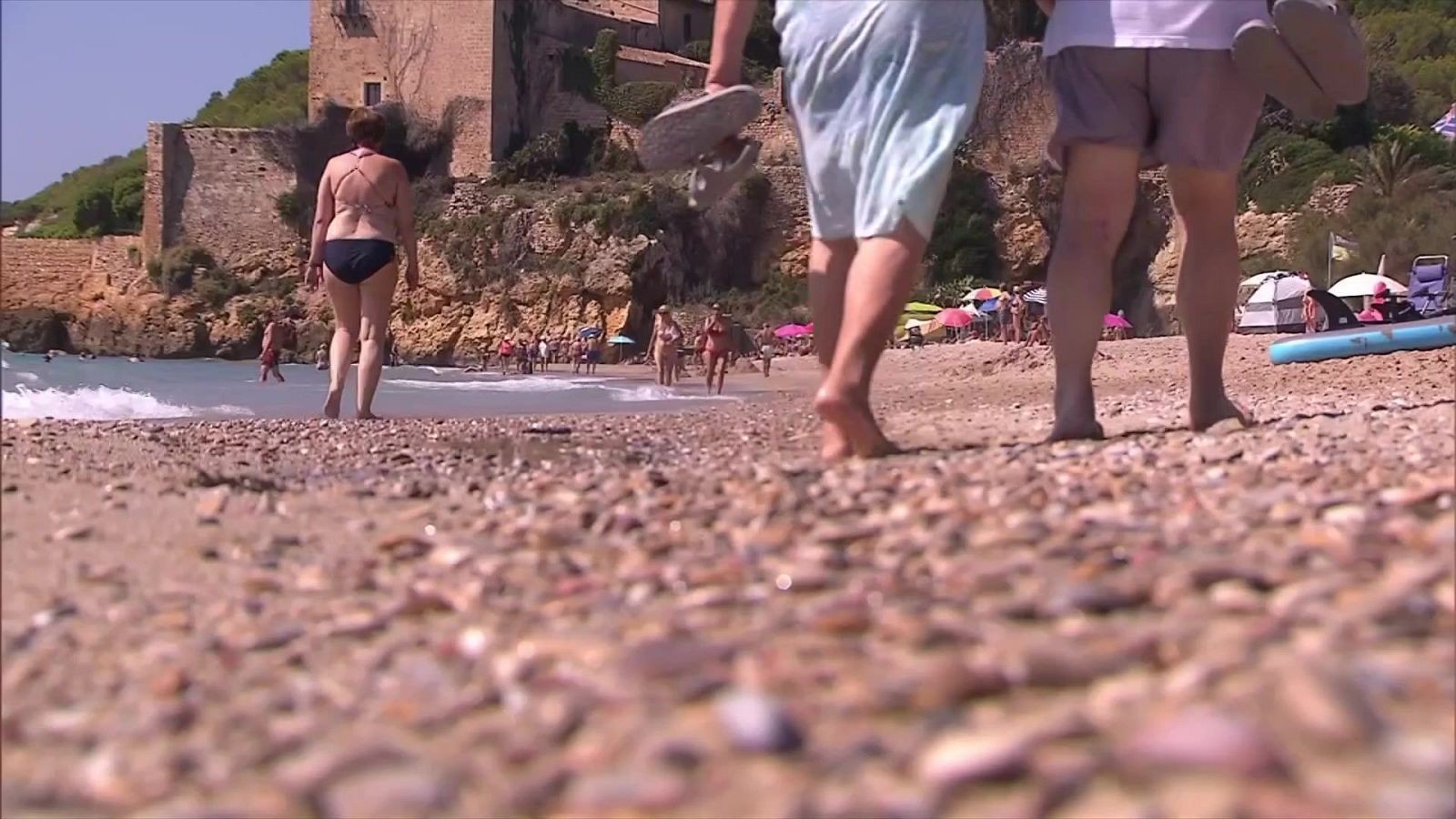 Els dragons blaus tanquen dues platges - L'Altaveu - L'altaveu | Veure