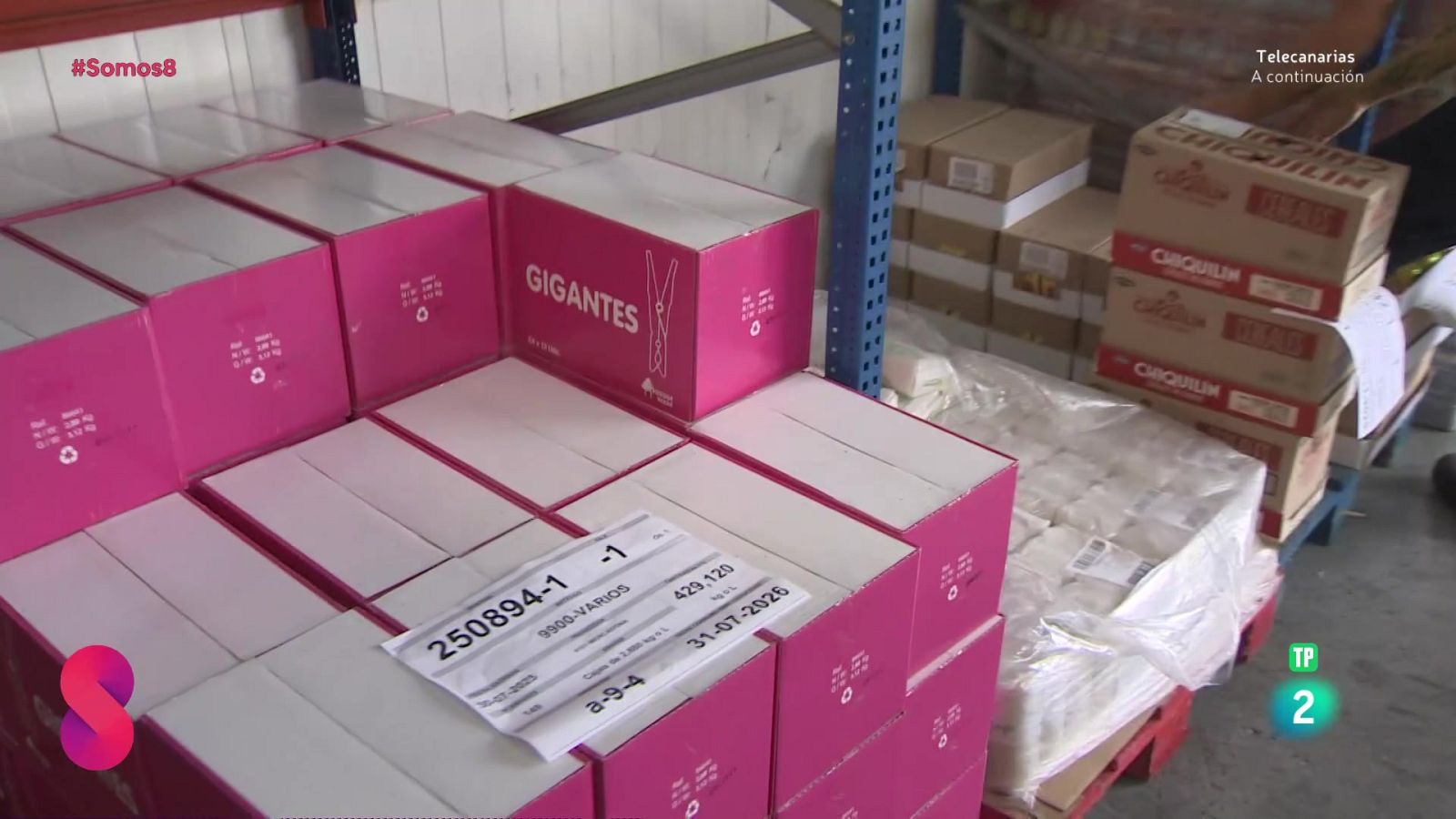 Somos 8 - 15/09/2025 - Somos 8 | Ver