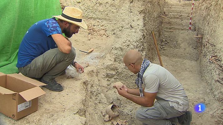 Noticias de Castilla-La Mancha - Exhumación de dos cuerpos en la fosa en Mesegar de Tajo (Toledo)