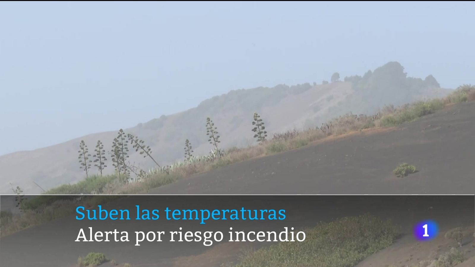 Canarias en 2' - 24/07/2025